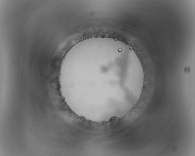 X0000111900192200908171247