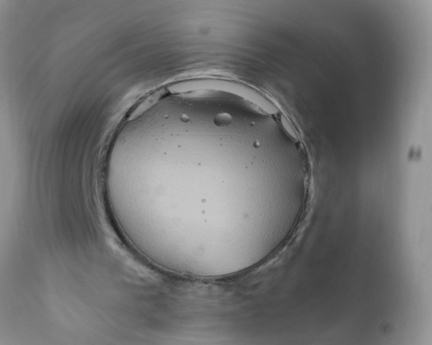 X0000111900193200908171246