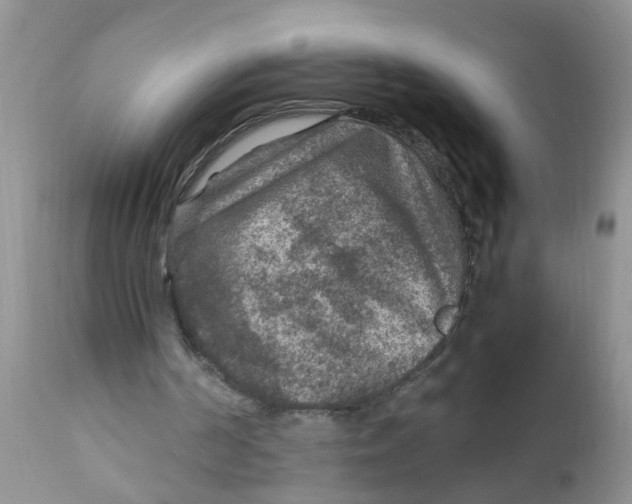 X0000111900194200908171246