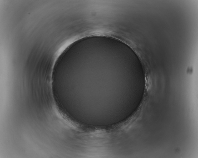 X0000111900196200908171246