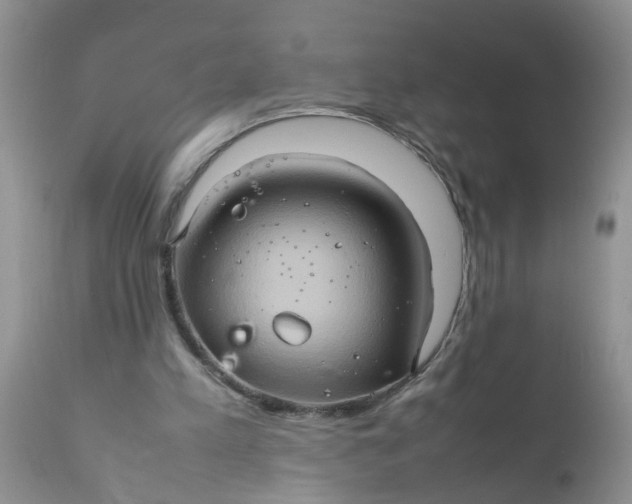 X0000111900197200908171246