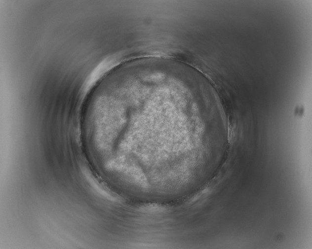 X0000111900198200908171246