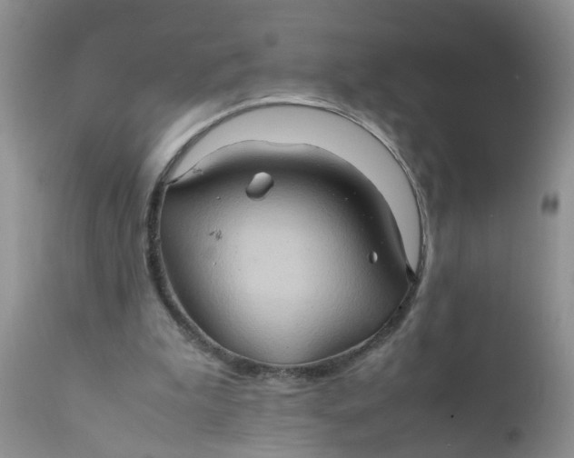 X0000111900199200908171246