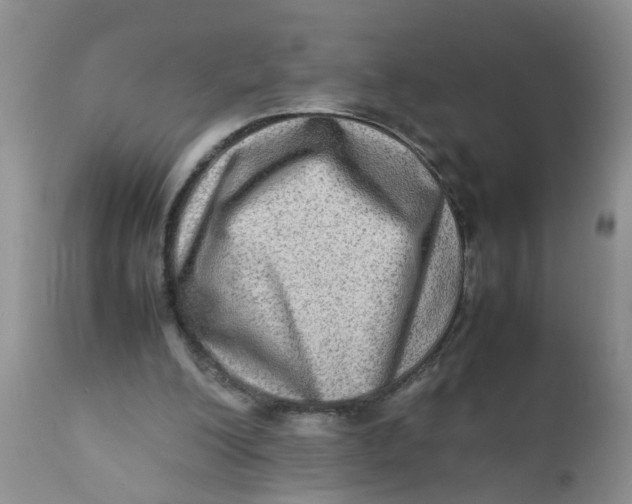 X0000111900200200908171246