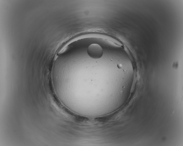 X0000111900201200908171246