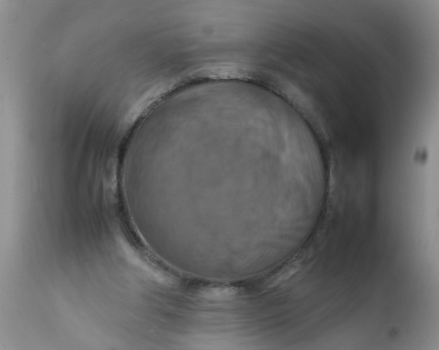 X0000111900202200908171246