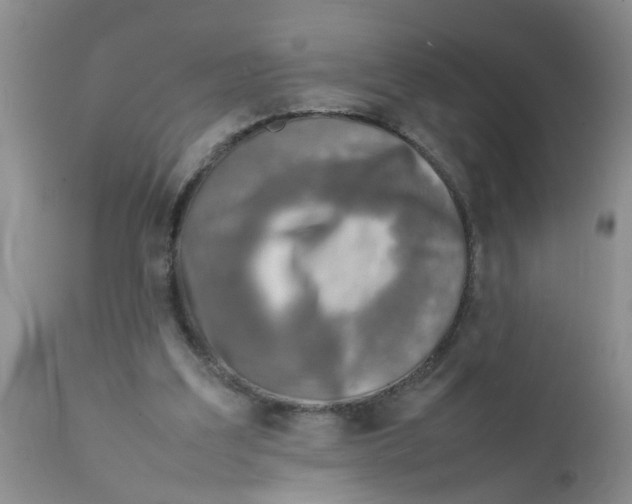 X0000111900203200908171246