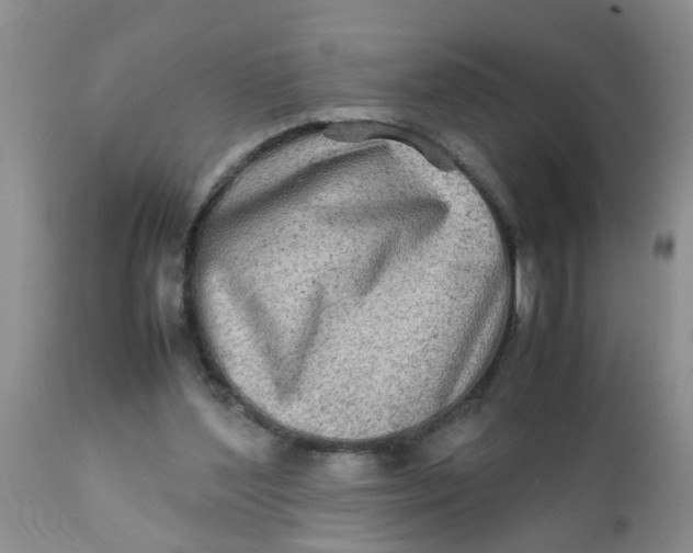 X0000111900204200908171246