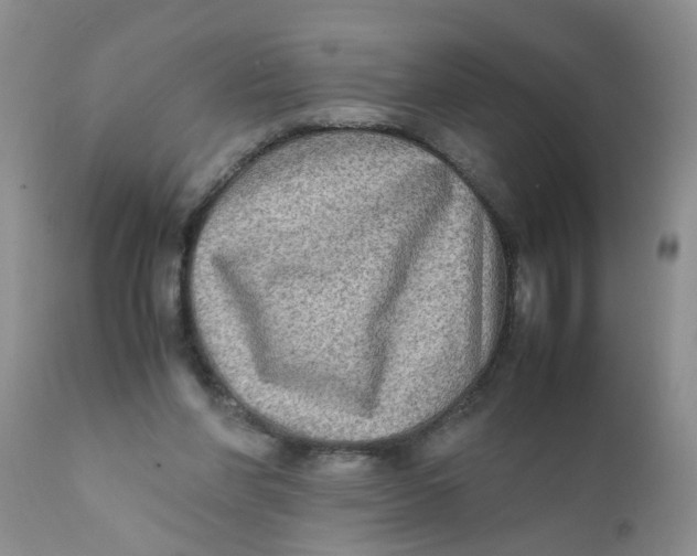 X0000111900206200908171246