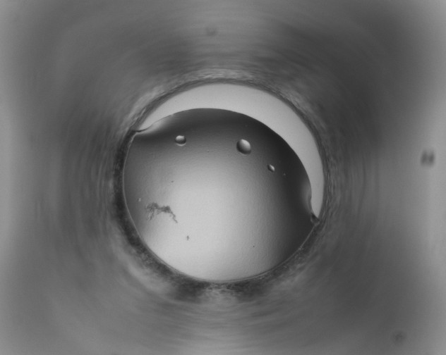 X0000111900207200908171246