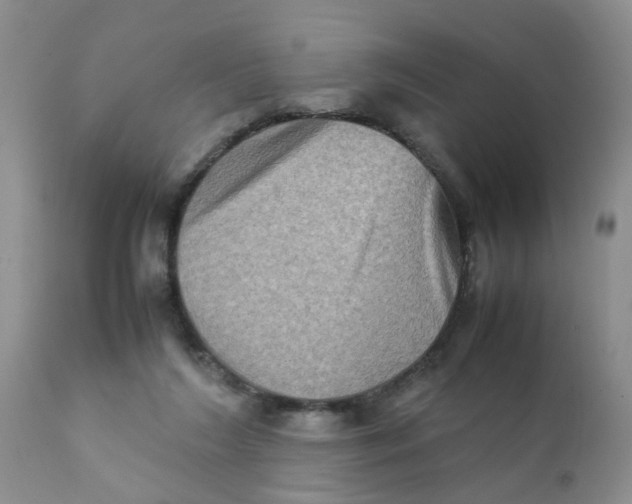 X0000111900212200908171246