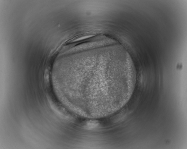 X0000111900214200908171246