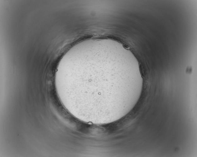 X0000111900215200908171246