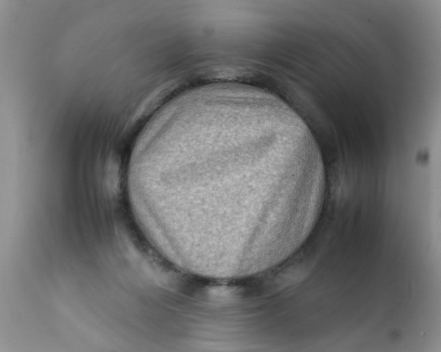 X0000111900216200908171246