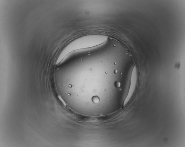 X0000111900217200908171246