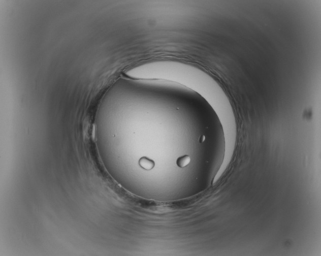 X0000111900219200908171246