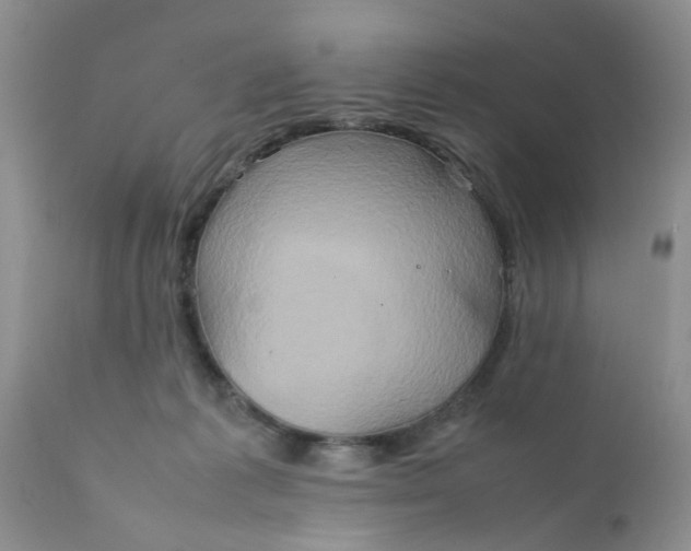 X0000111900221200908171246