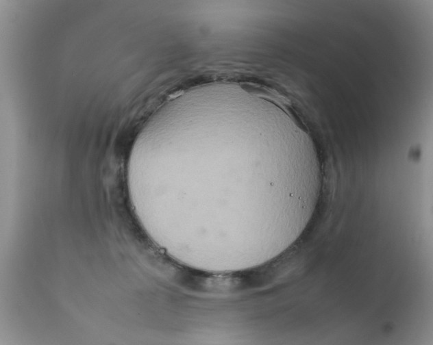 X0000111900225200908171246