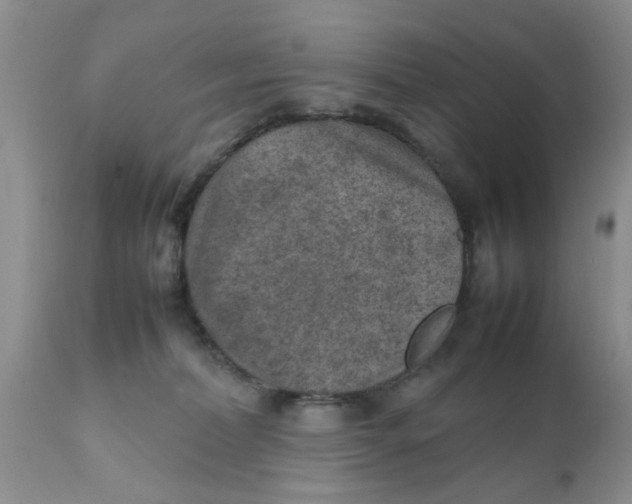 X0000111900228200908171246