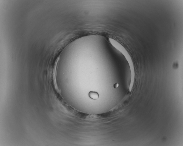 X0000111900231200908171246