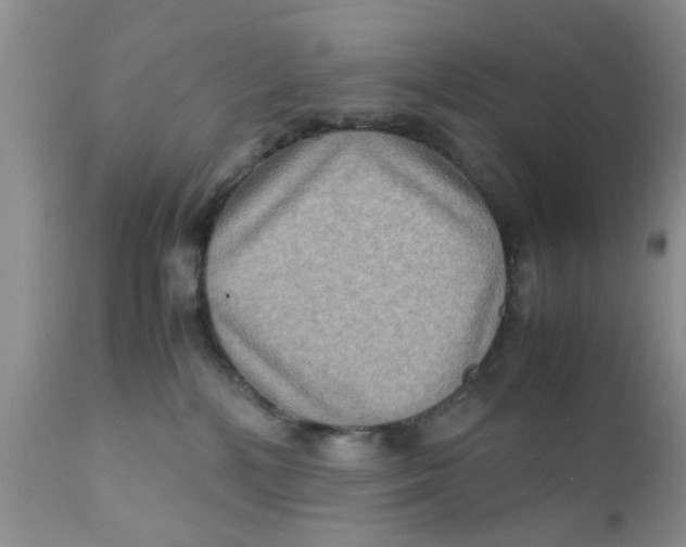 X0000111900232200908171246