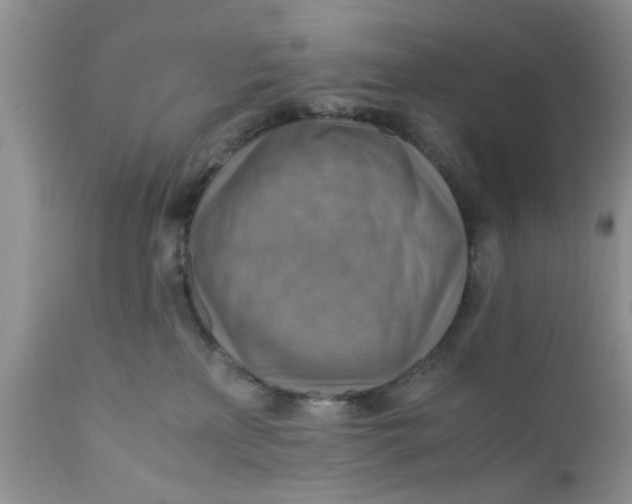 X0000111900233200908171246