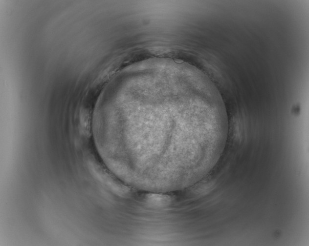 X0000111900234200908171246