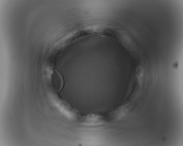 X0000111900235200908171246