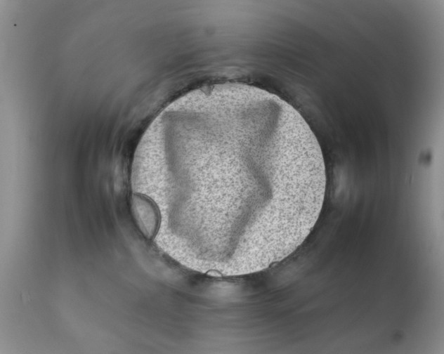 X0000111900236200908171246