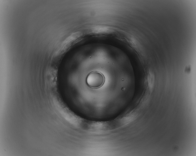 X0000111900237200908171246