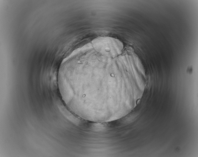 X0000111900238200908171246