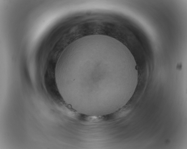 X0000111900239200908171246