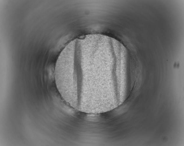 X0000111900240200908171246