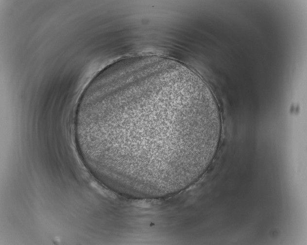 X0000111900241200908171245