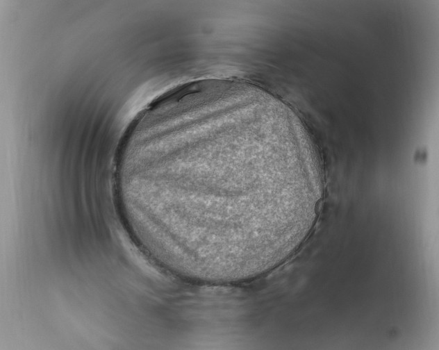 X0000111900242200908171245