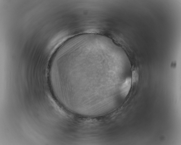 X0000111900243200908171245