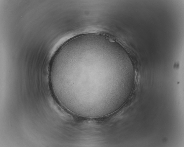 X0000111900244200908171245