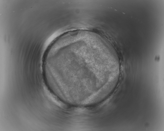 X0000111900246200908171245