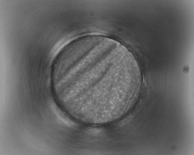 X0000111900247200908171245