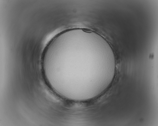 X0000111900248200908171245