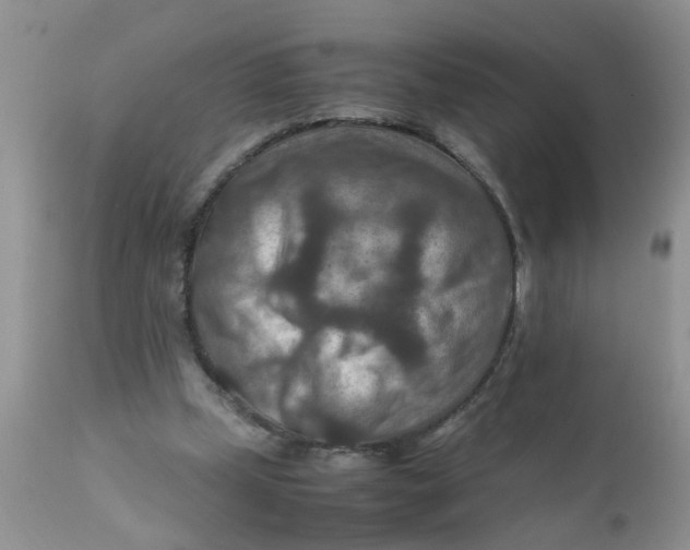 X0000111900249200908171245