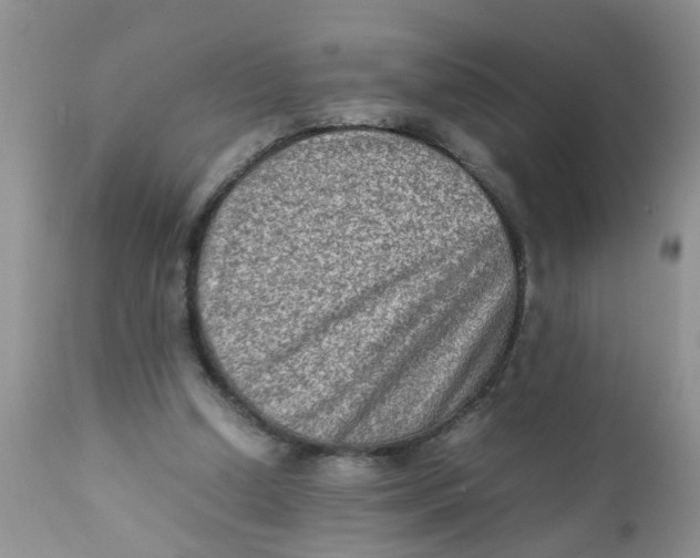 X0000111900250200908171245