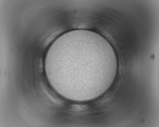 X0000111900251200908171245