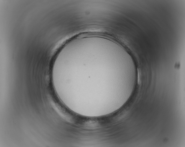 X0000111900252200908171245