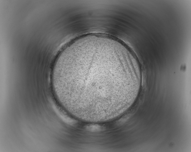 X0000111900253200908171245