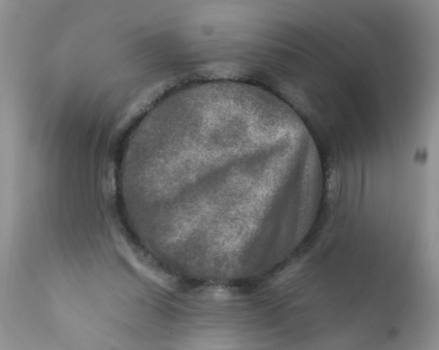 X0000111900254200908171245