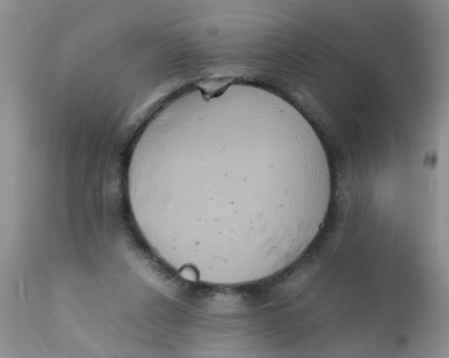 X0000111900256200908171245