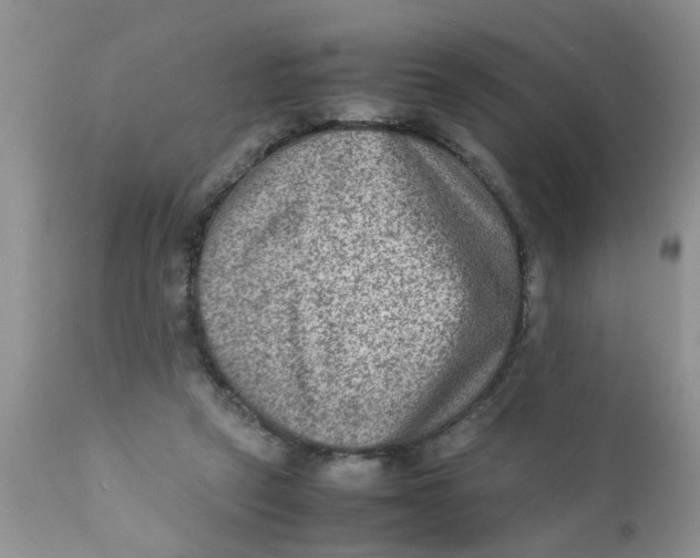 X0000111900257200908171245