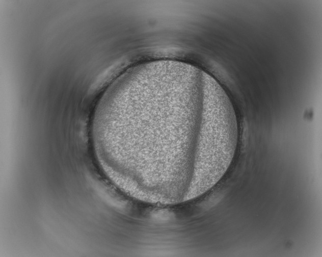 X0000111900258200908171245