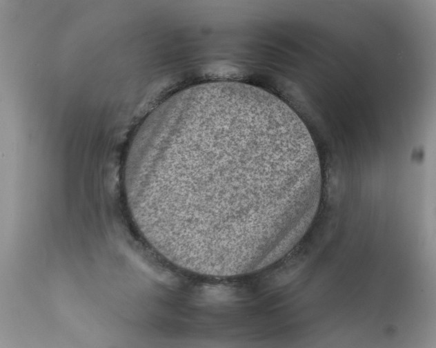 X0000111900259200908171245